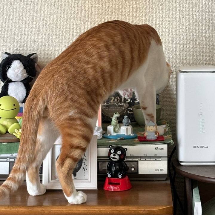 D5594033 9203 4bb5 bd12 5e6fd748f623 1723516994964