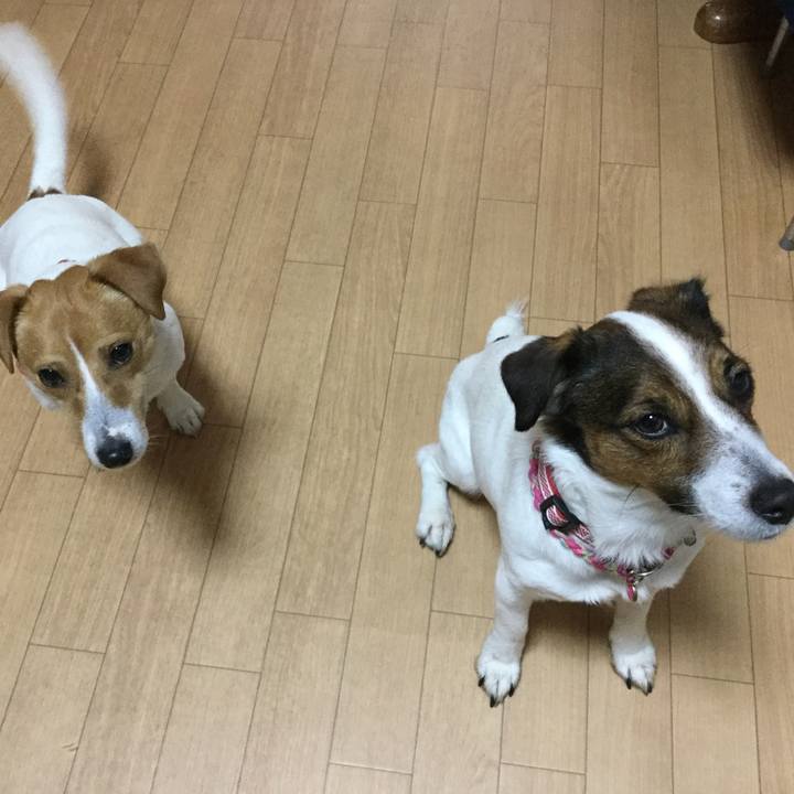 D55942a5 4990 4aed b19a c5f2ef42639c 1522398517176