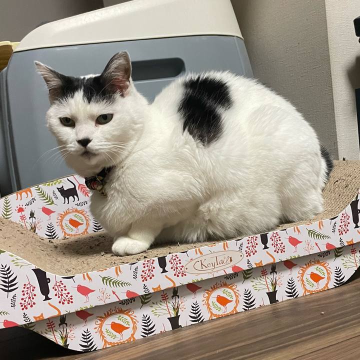 D5596062 801f 400b b02d 41cb61b65795 1703941362143