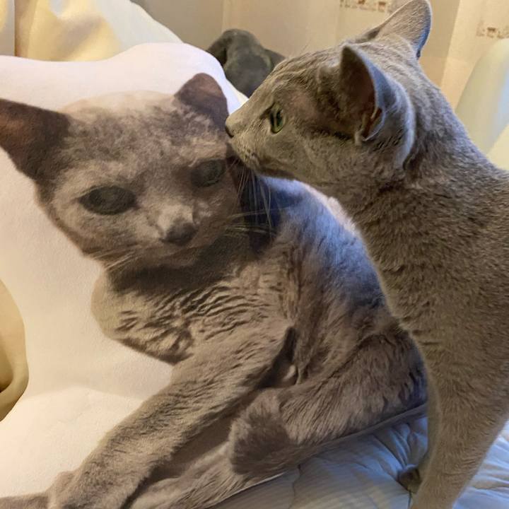 D55970ea 013e 4d46 943d 77246fdb3d23 1628401249638