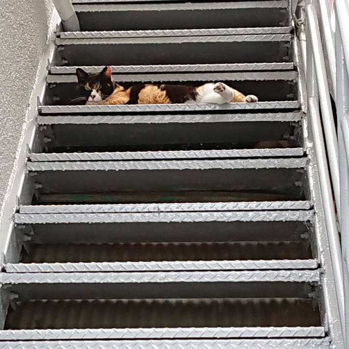 D5597cd9 ccc8 45e6 8733 3f27f1caa81d 1652504080521