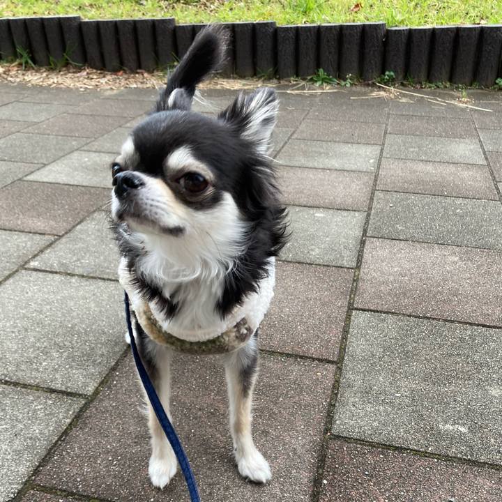 D559d094 b947 4eb6 bd1f ca12db7da67c 1673754856761