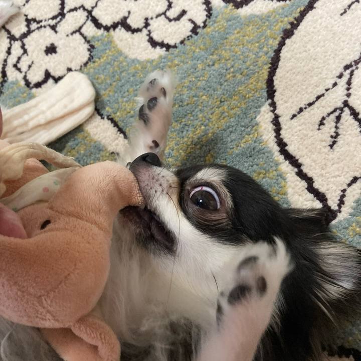 D559d239 e52a 4045 b262 3333614fe4e4 1625375358944