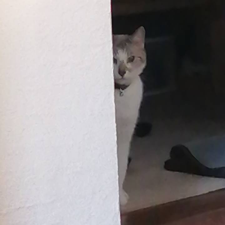 D55a1ffb d09c 4d3c 86b4 341ac2f692bd 1622277557929