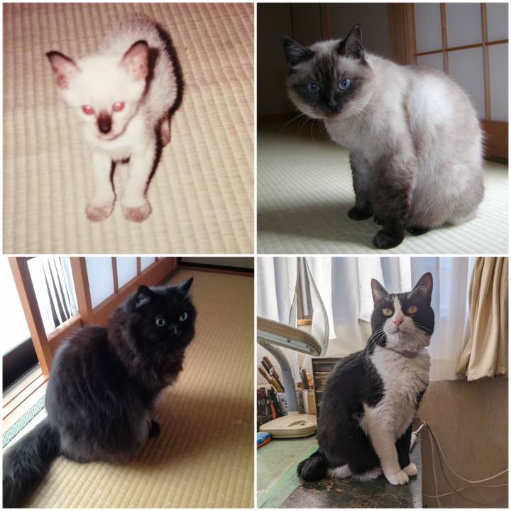 D55a2eee f468 4fd2 a5e4 2be9af6469ca 1708584955497