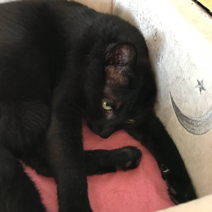 D55a7de4 3d62 4461 9629 6a48839d340f 1533340331840