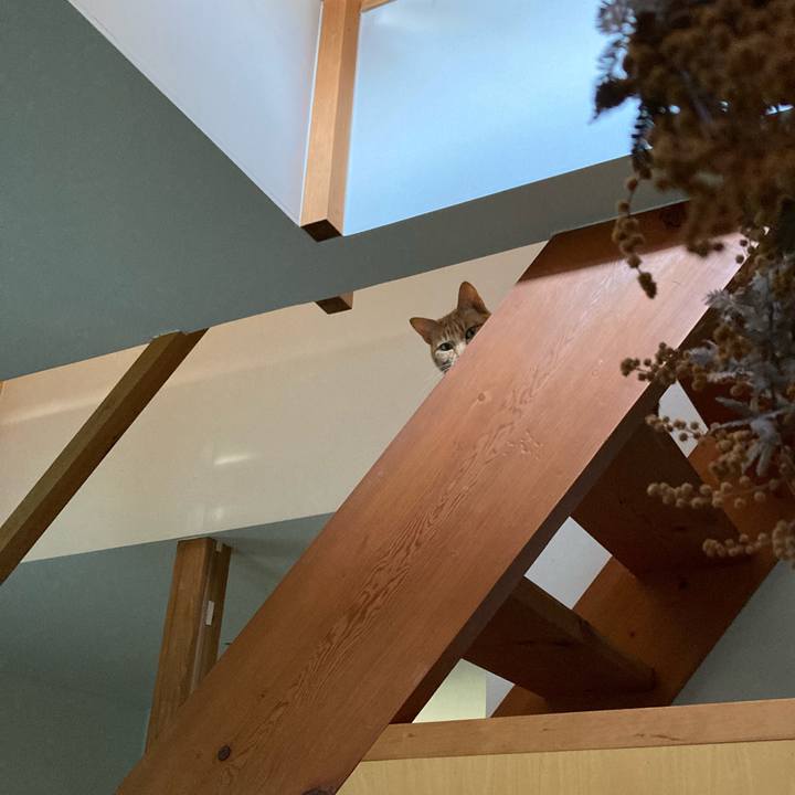 D55a87aa 48f6 4d7a b147 7d5838380ff3 1651534667667