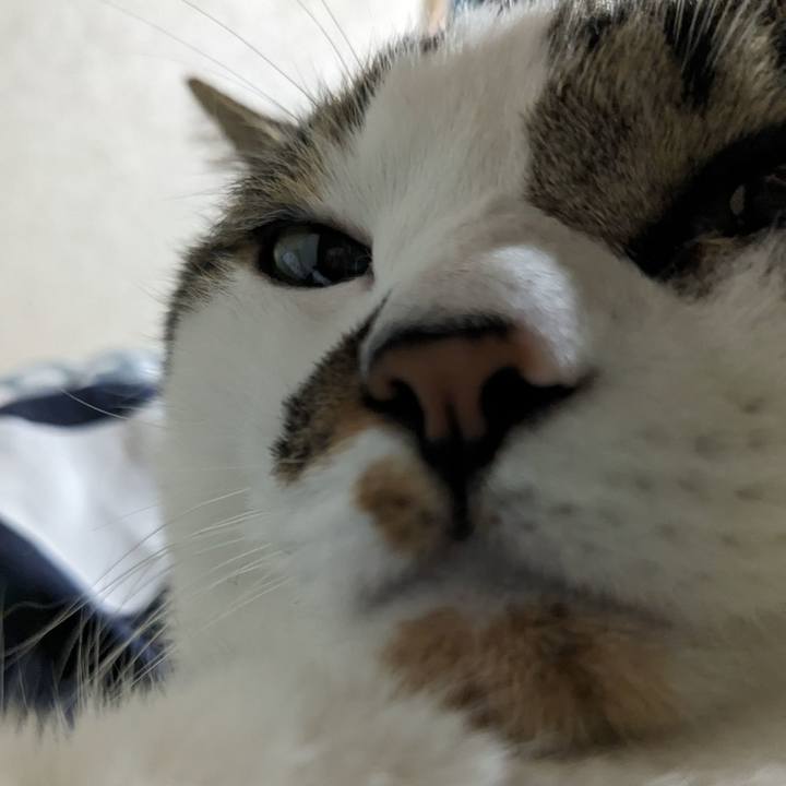 D55ab4d7 c906 4ca6 b087 b868f6cee288 1688992185115