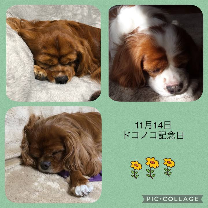 D55aba9d c41e 423a 8584 44153a4e42ec 1637455049098