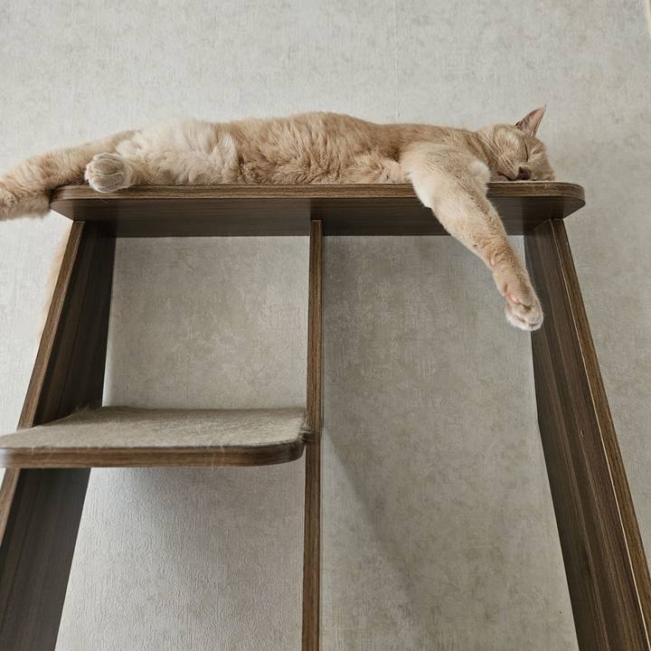 D55ac411 f80e 4c78 acc1 d4637be8b5e4 1752970016531