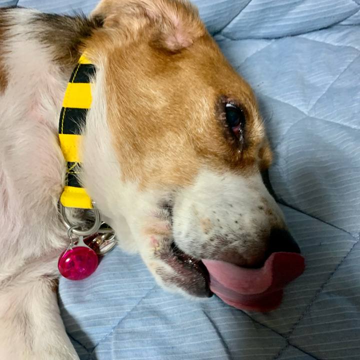 D55b06e4 a82a 4787 9290 600a501b005f 1697380116657