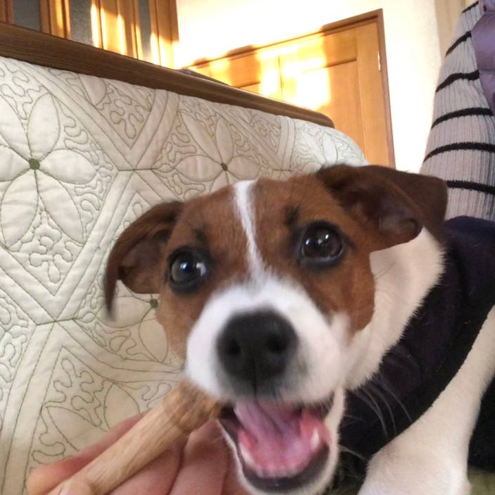 D55b0cf8 2aa4 493e 9d50 14bde0444a92 1516408444048