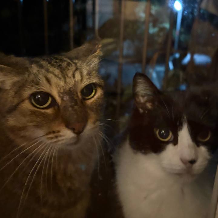 D55b36c7 94d5 4da4 a52d 4c4b939efc2e 1761568609866