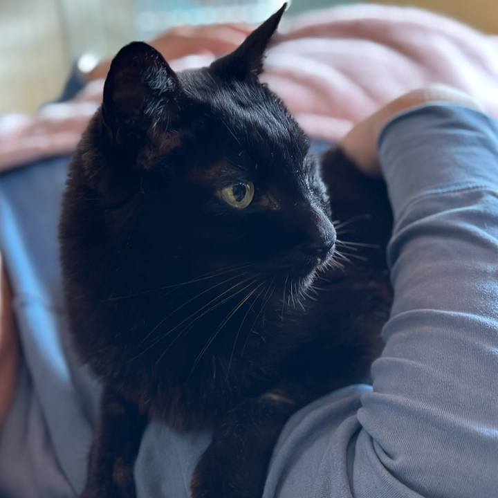 D55b72b0 4032 425e 928b 9ce15cad4f9e 1713318502722