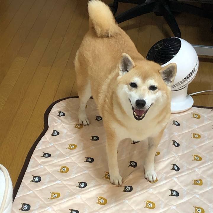 D55bcb91 2bcc 4eb7 bf92 48271766b235 1565530394669