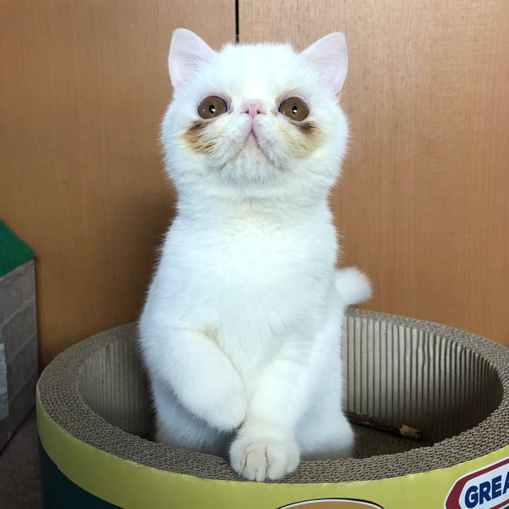 D55bd5cf 0b4a 48f8 a4c7 ad92e88e1456 1552214242041