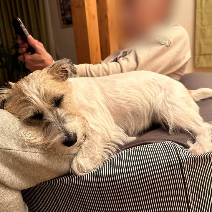 D55bd620 11c2 4e0d b94a 5fab02d63183 1700921690236