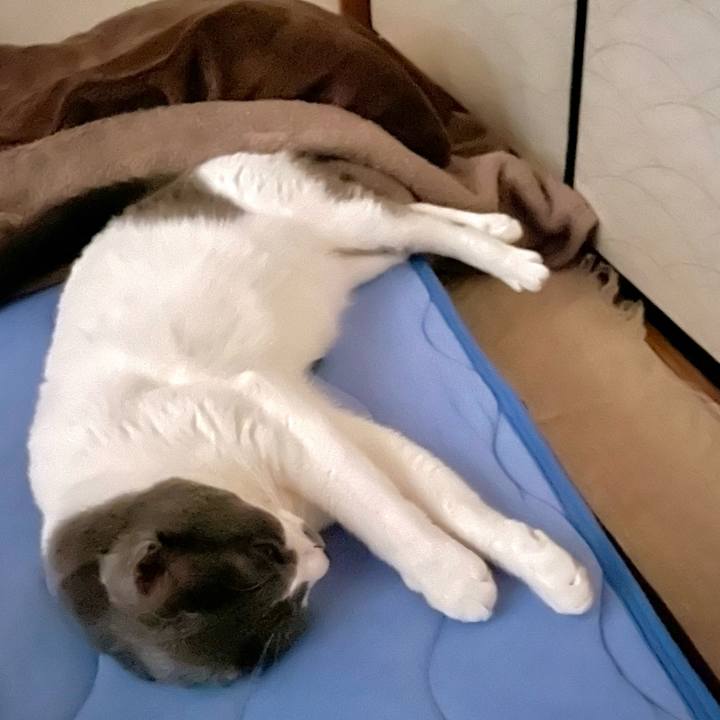 D55bde97 4bdd 4704 a3a9 fe2e1b295baf 1661639634721