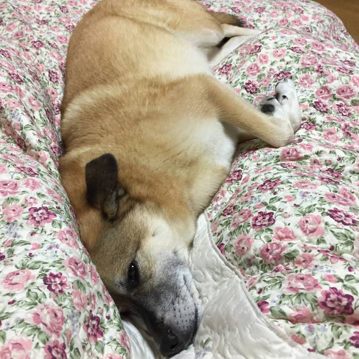 D55c0c44 ec5b 42f2 8e58 00c6911ca1b7 1541506298094