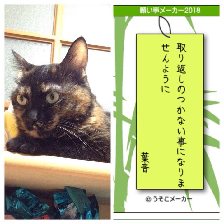 D55c1689 2907 4be8 8058 b8f088c82d0f 1530972320813