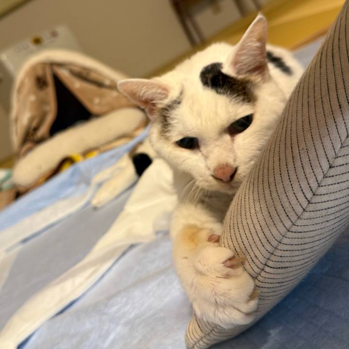 D55c28f3 9b07 49d5 b5d4 8d0423c1e00c 1762509481963