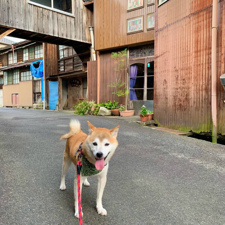 D55c31dc 1076 4b9c a705 4312e88a0eec 1695812256762