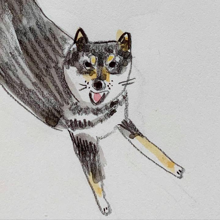 D55c367a a8d9 4ca1 a1ba 3891b8f391ee 1603428870034