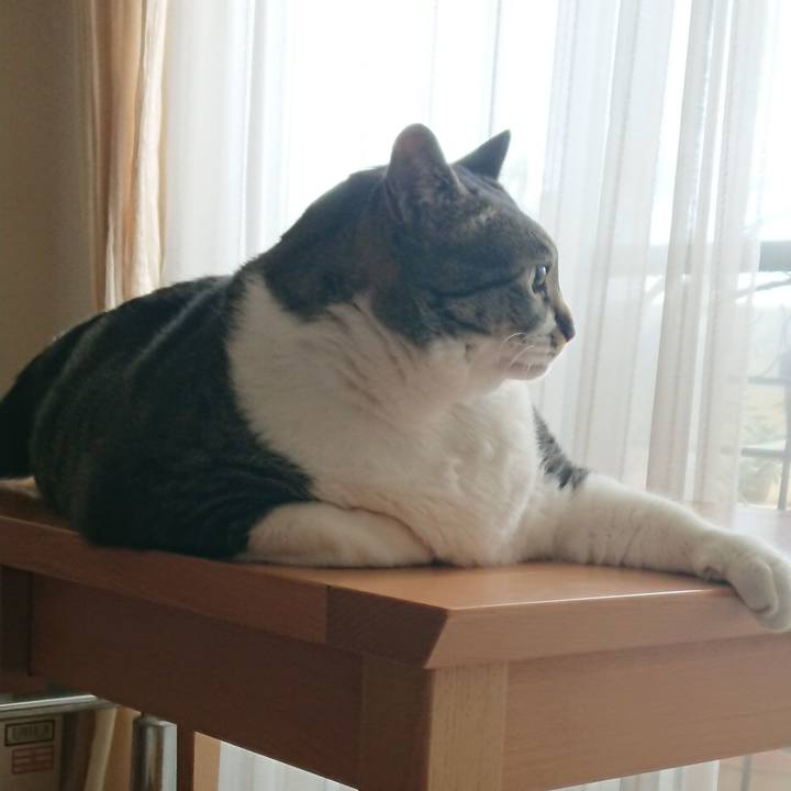 D55c3b2e 9f4d 4e6a af7d 84d6a1b30342 1526509673466