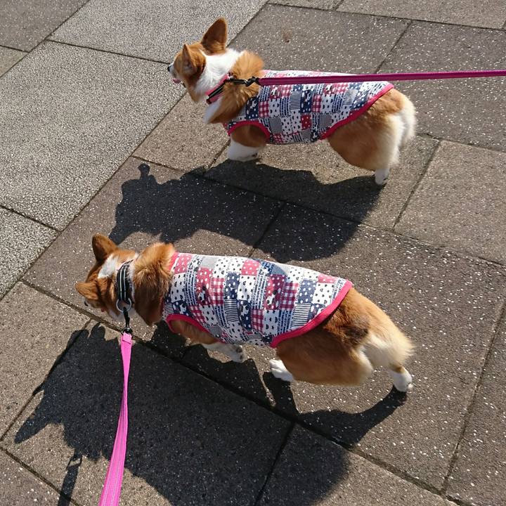 D55c4f0d c95d 4f3d 931b 9f714fd8497c 1518845904730