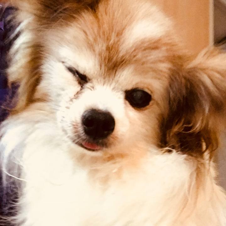 D55c4f82 76c0 4e37 99c9 a9f277a4666a 1508579450819