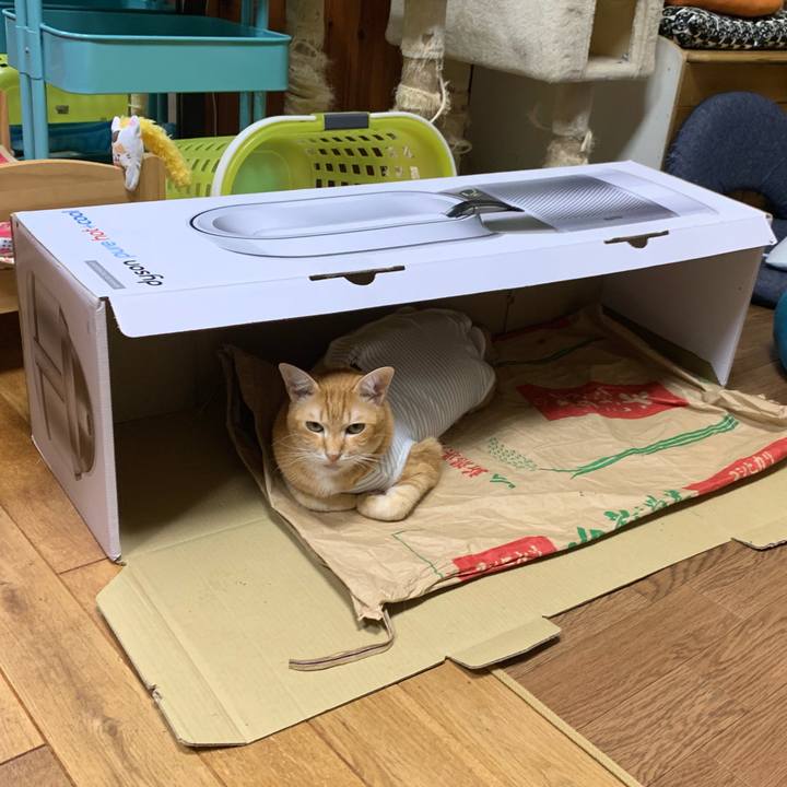 D55c969a 7e62 4d20 abe8 a960c42149d7 1570360687477