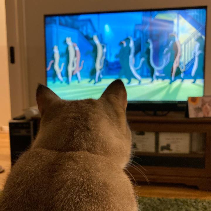 D55d018c 5b6a 4b53 8106 3970a56884c8 1629461582382