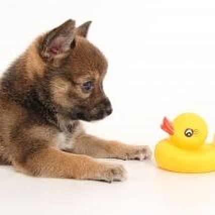 D55d02c9 466e 4ec9 9a93 bdc87d5def11 1543152663889