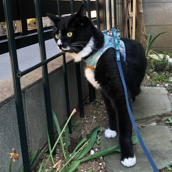 D55d1966 887a 4df5 95d2 027da213e30b 1553831789955