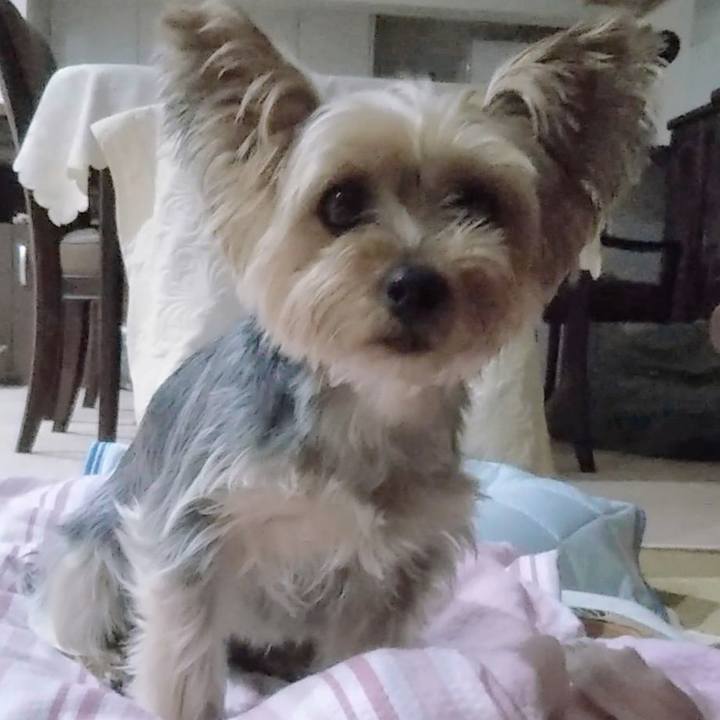 D55d1cee 0e19 4641 abb9 0f1f05ebd3d1 1690268926141