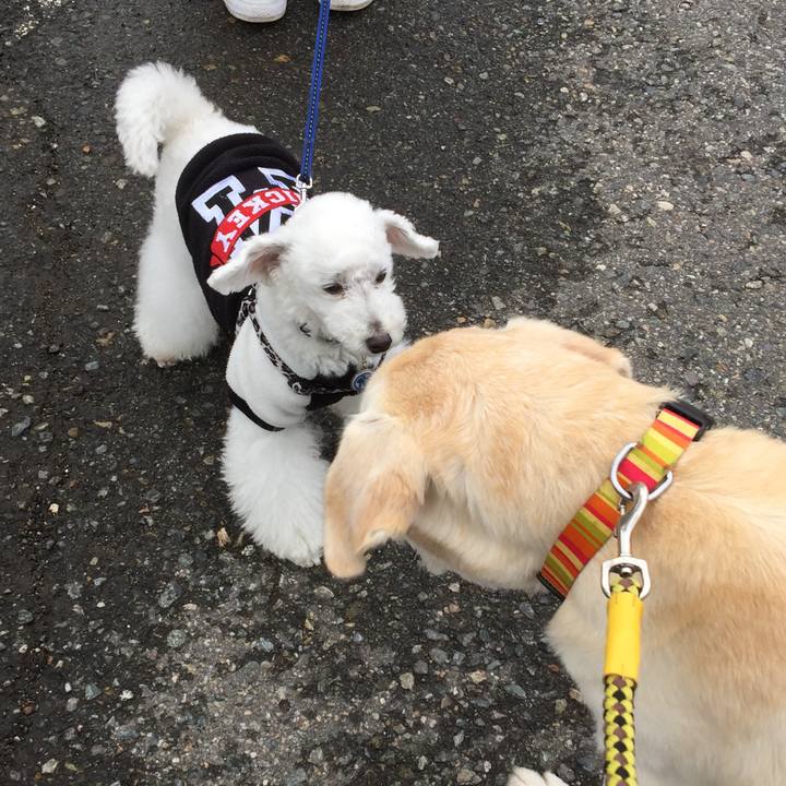 D55d1dbd e403 45fc a1ae 57b564344f96 1524027996450