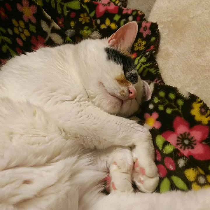 D55d5482 4d6f 4903 898e 4a4bd638f5ac 1540037773721