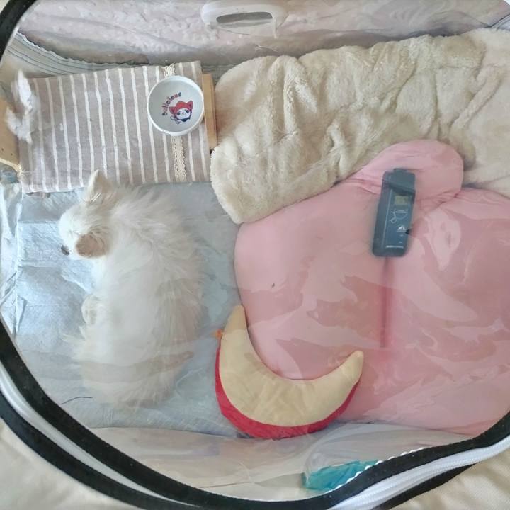 D55d9f75 aebe 48a6 8fea 7f48e02c5eb2 1687048724949