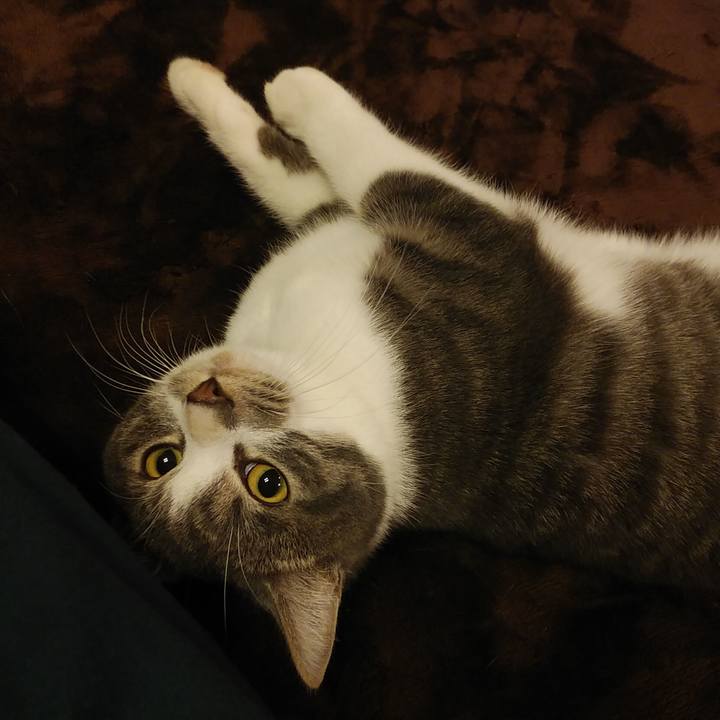 D55da887 0b6a 40a4 966b aac56934ac91 1577016277880