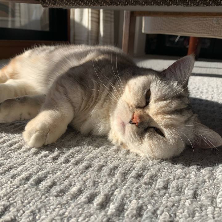 D55db68f 4089 419b af9b dad4782433db 1708212509602