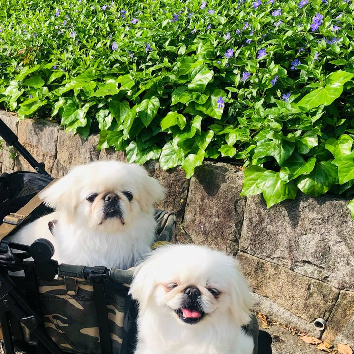 D55e0df2 b1ac 4a8e a639 8cb965857d98 1619936678242