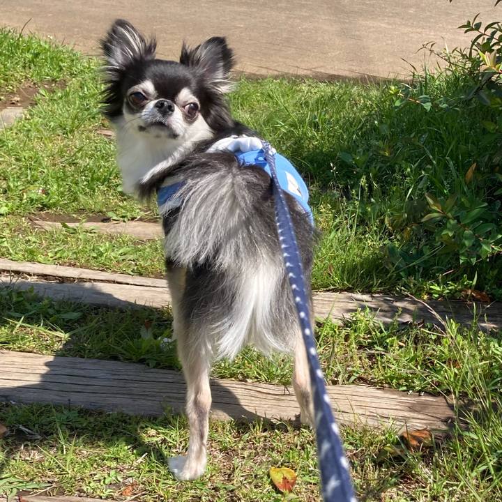 D55e9797 4e9b 4c91 be04 79c878be4f7f 1651559127263