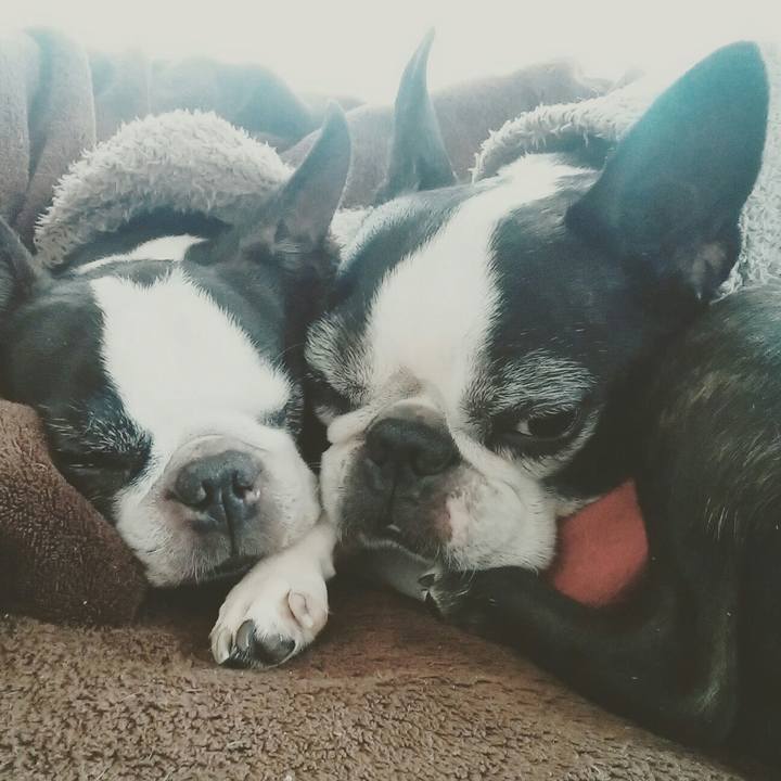 D55ea07f 9474 4b96 95d6 19a1b32245fa 1518372516667