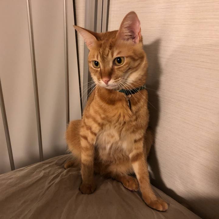 D55ea9c3 4fcf 4754 801a d021a3034321 1632781431718