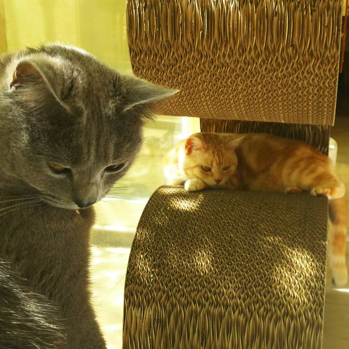 D55ebba9 3c8e 40d9 b1b0 a21d8e7d6f0e 1523239051968