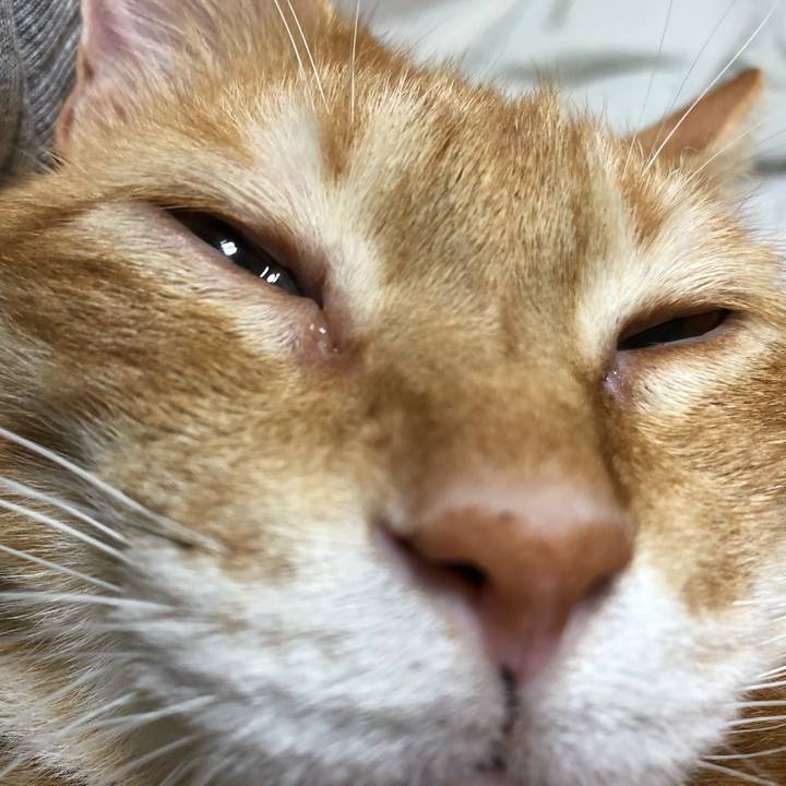 D55ec415 82af 4b43 90ff e2dc0a09465e 1630416234883