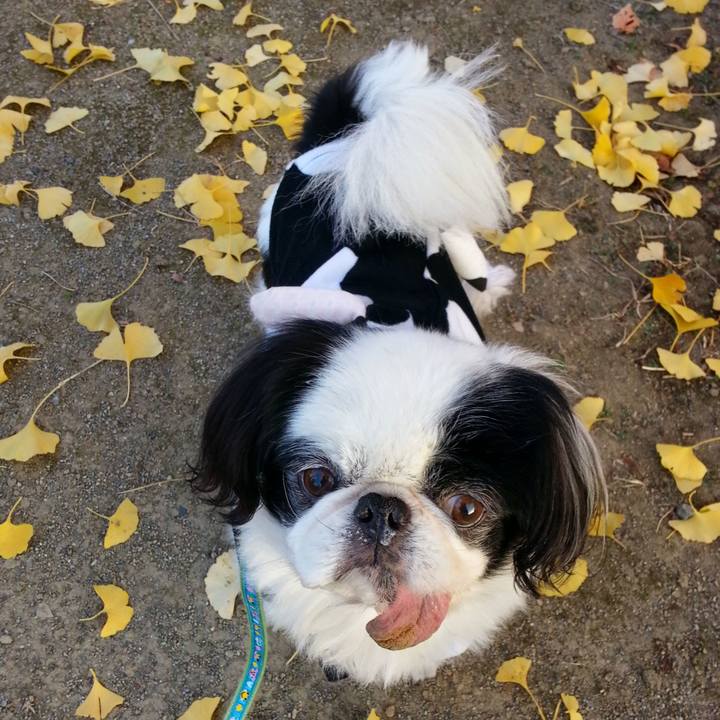 D55f0ed5 b232 478c ad85 14d30c493e47 1606634415556