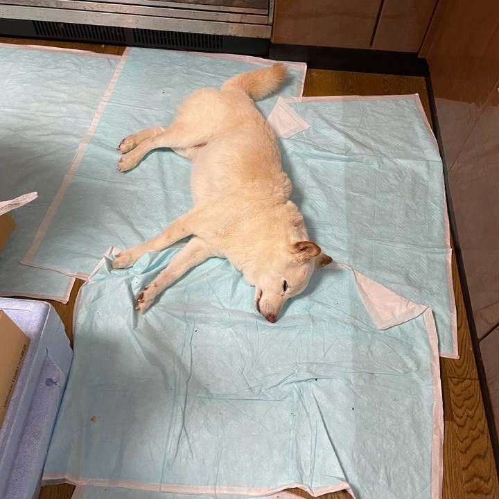 D55f17e3 dbc0 4f92 8951 2531d0fd092b 1635693948073