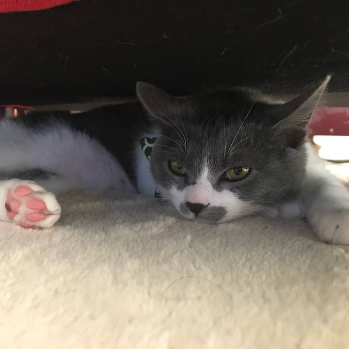 D55f6663 530c 46cb bd6f c661dc037d7a 1749220328777