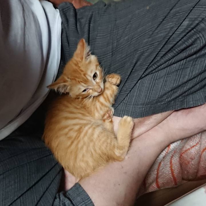 D55fddee 9e65 4074 95ae 03e73234f9b6 1628423106515